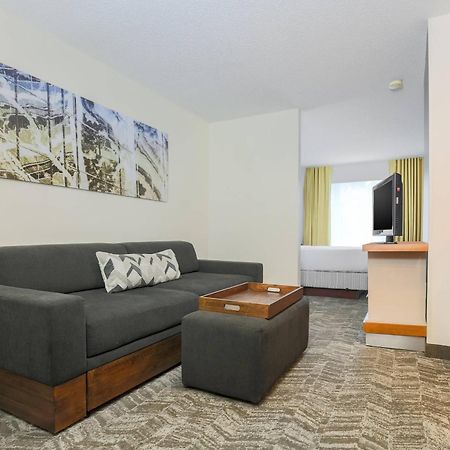 Springhill Suites By Marriott Houston Brookhollow Екстер'єр фото