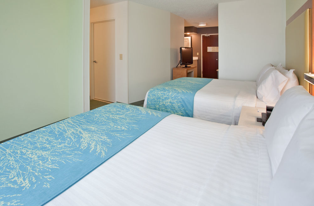 Springhill Suites By Marriott Houston Brookhollow Екстер'єр фото